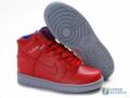 nikedunks00