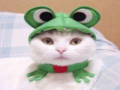 Stasia