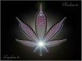 jake_1483