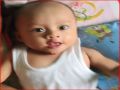 pipengr