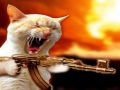 rawnone