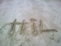 hil_15