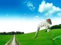 occafidh24