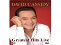I Think I Love You - David Cassidy