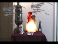 Fire Walking Lizard
