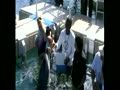 dolphin encounters - nassau bahamas 1-23-12