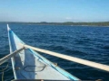 Wiesl Jr Tours Philippines - Donsol boat ride walesharks