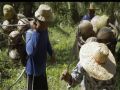 Kinabuhi - coconut farmers