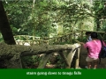 STAIRS GOING DOWN TO TINAGO FALLS---ILIGAN CITY