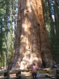 Sequoia Park
