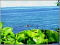 TRANQUIL SEA OF LINAMON