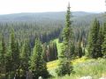 Drive to the upper (north) loop of the park
