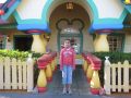 Mickey's house