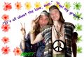 my photo album