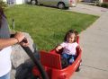 Haley on her wagon.